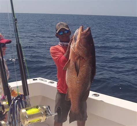 big game fishing panama|Pana Pacifica Sport Fishing – Sport Fishing in Panama.